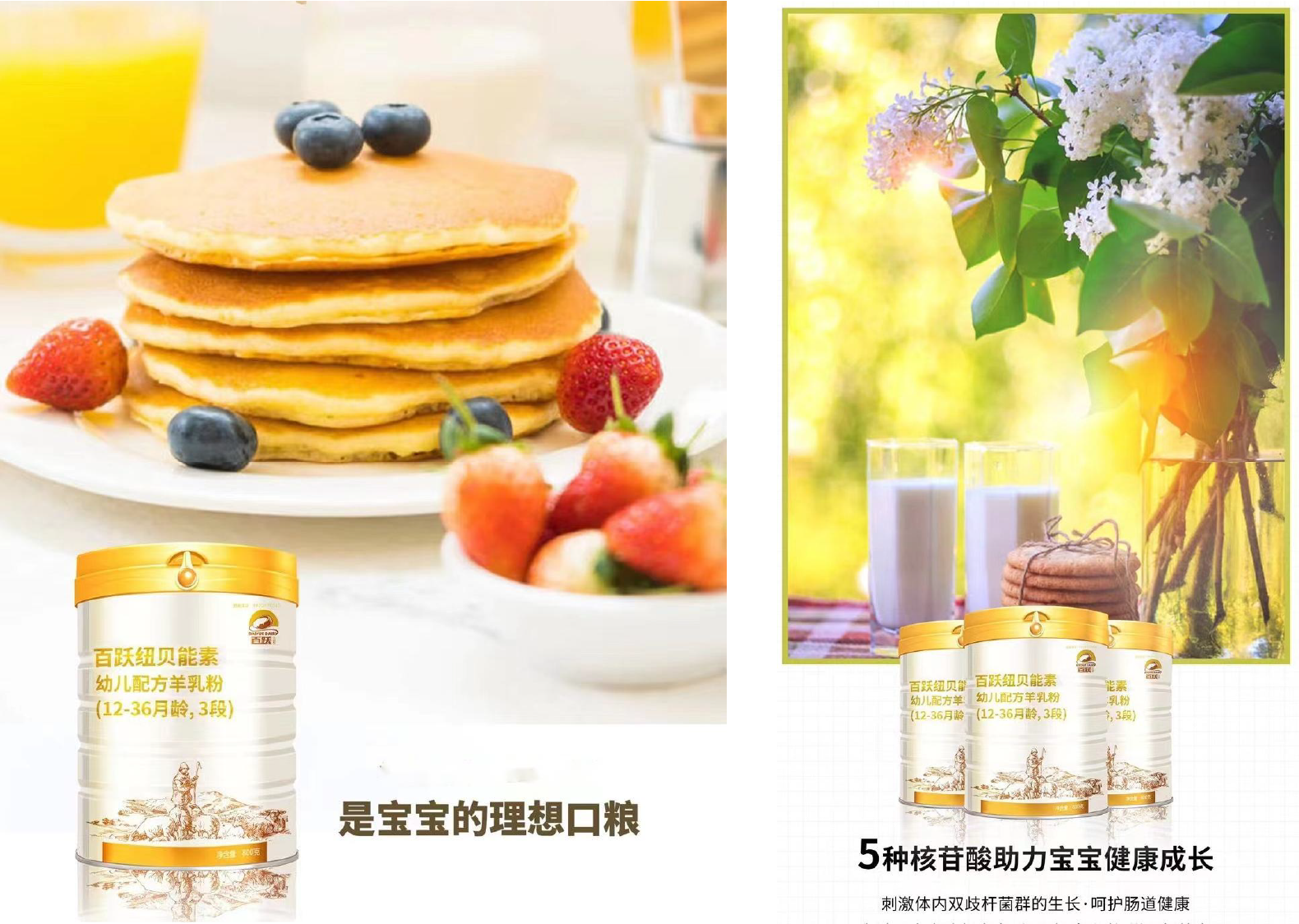 創意奶粉DIY集合