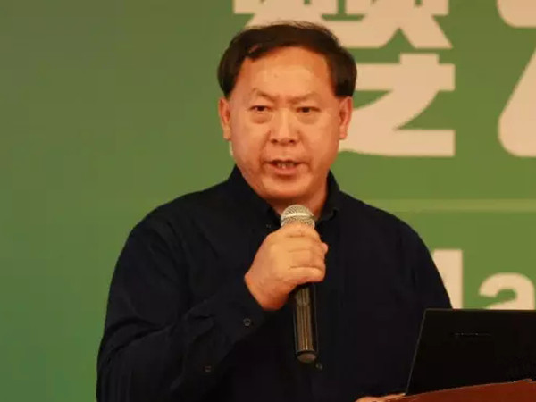 王丁棉